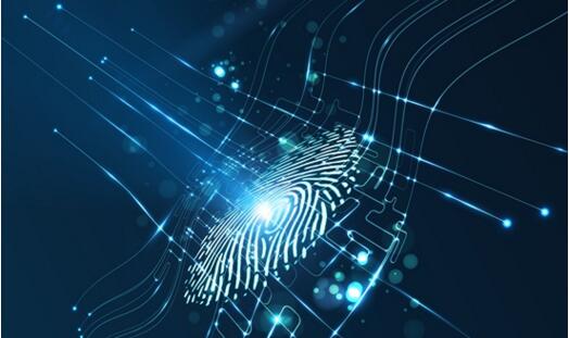 網站分析技巧，手工檢測Web網站指紋